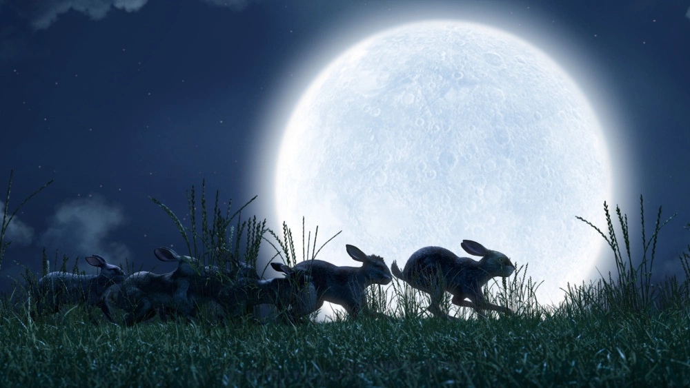 Первые кадры CGI-ремейка Watership Down. Главные роли исполнят Розамунд Пайк, Питер Капальди, Джемма Чан и Тарон Эджертон. Компанию им составят Джеймс Макэвой, Бен Кингсли, Дэниел Калуя и многие други...